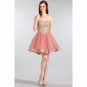 SWEETHEART Blush with Gold Lace Dress
